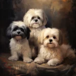 do shih tzus get along with other dogs