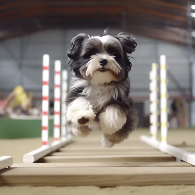 Mastering Obedience Like A Pro!: How To Train A Shih Tzu