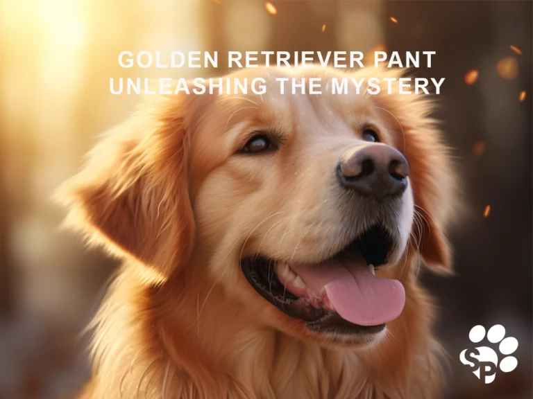 Why Does My Golden Retriever Pant So Much? Unleashing The Mystery